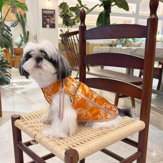 ORIENTAIL | Crimson Flame Dragon Vest – Oriental Gold Brocade Pet Tang Suit