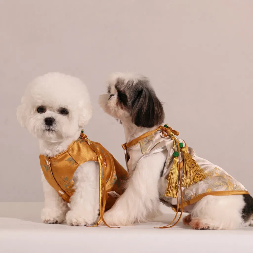 ORIENTAIL | Floating Light Imperial White & Amber Dragon Brocade Vest