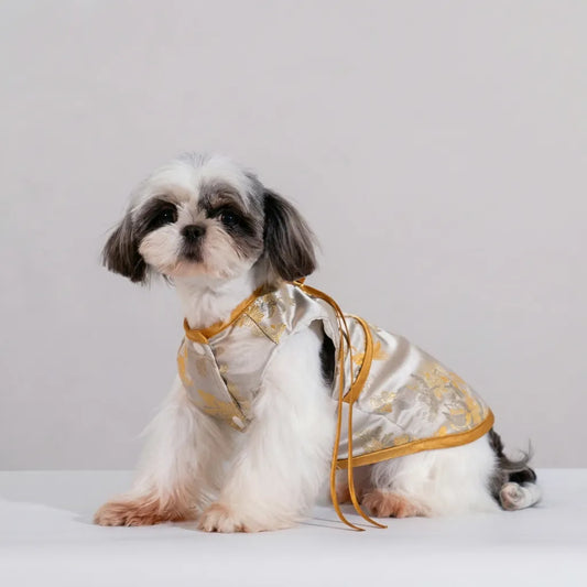 ORIENTAIL | Floating Light Imperial White & Amber Dragon Brocade Vest