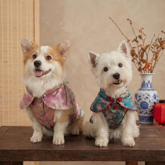 ORIENTAIL | Silk Brocade Pet Vest&Oriental Heritage Tang Suit Style